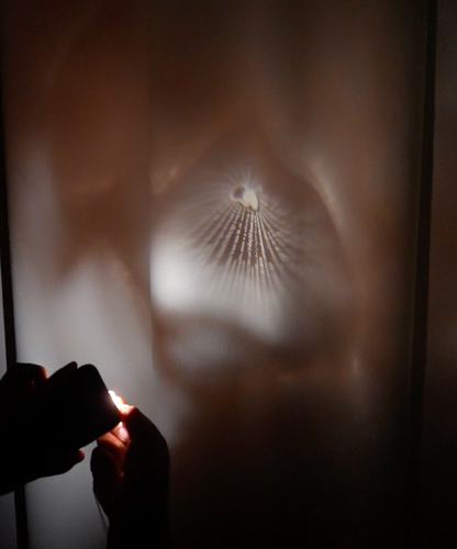 Boîte de roses éternelles avec son collier "Je t'aime en 100 langues"